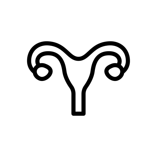 uterus.png